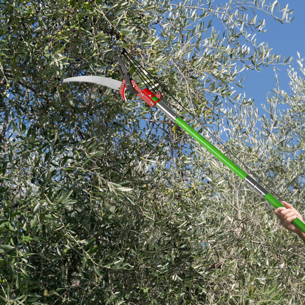30ft Manual Pole Saw, Lightweight Tree Trimmers Long Handle Pruner Set, Sharp Steel Blade and Scissors Pole Saw for Trimming Palm, Pear Tree, Fir Tree, Other High Trees and Shrubs