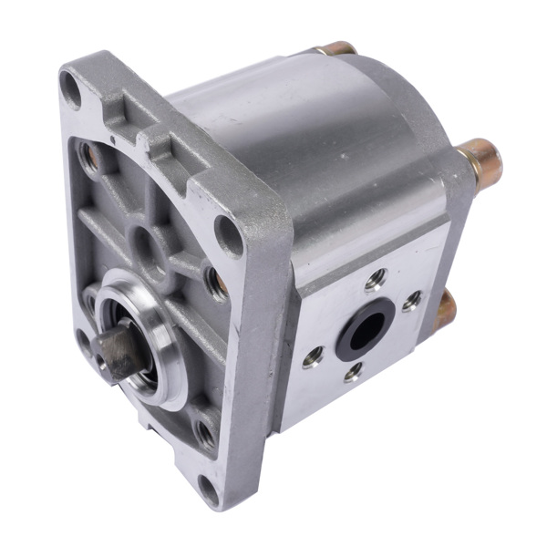 液压泵 Gear Pump for Jinma Tractor Hydraulic Pump Right-Hand Even Key CB306 CBN-E306 -6