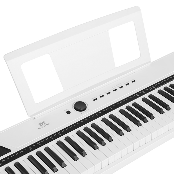 DIGITAL PIANO