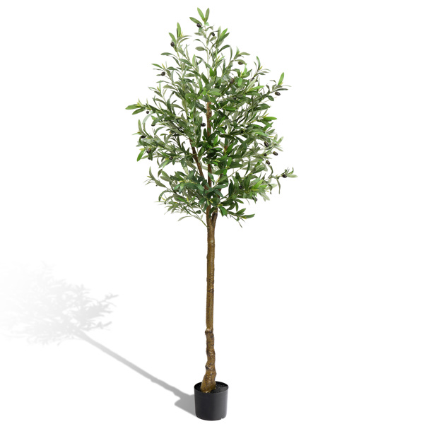 180cm 橄榄树 950叶片 38果 PVC 绢布 仿真树-10