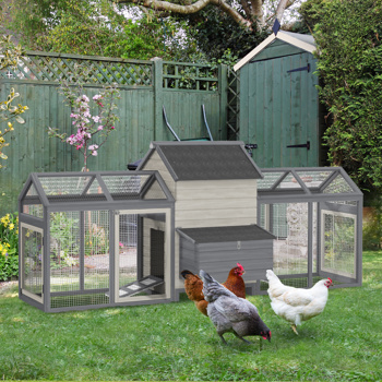 Poultry Cage
