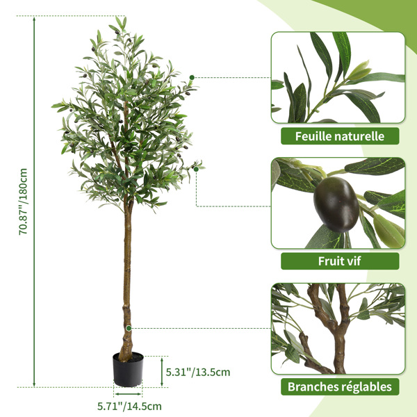 180cm 橄榄树 950叶片 38果 PVC 绢布 仿真树-2
