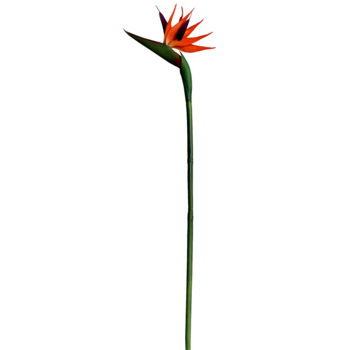 Artificial Flower Simulation Fake Strelitzia Reginae Flower Chinese Home Decoration Wedding Photography Props
