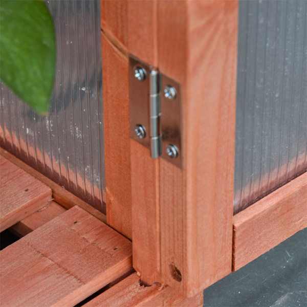 mini 温室棚 （周末不发货）（ Amazon Shipping）（WalMart禁售）-7