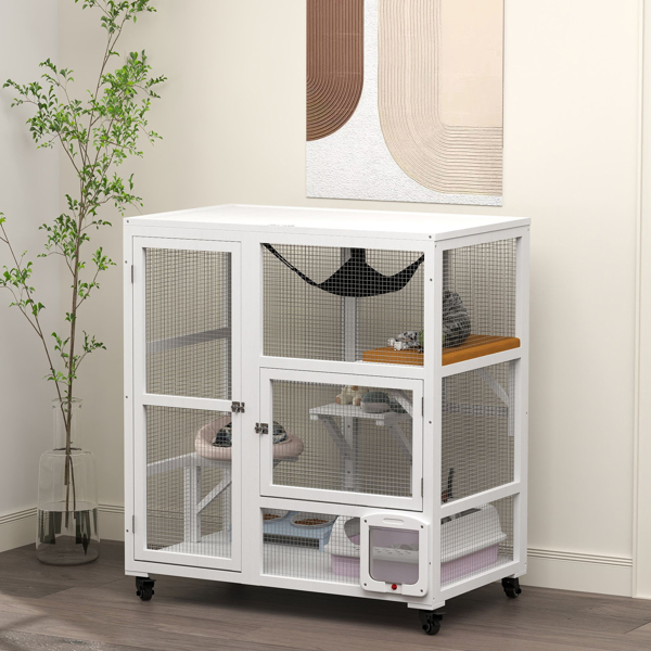 猫屋 （周末不发货）（ Amazon Shipping）（WalMart禁售）-1