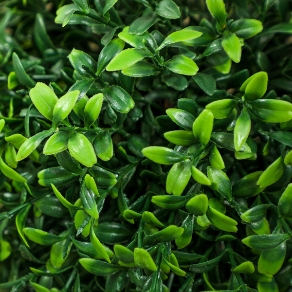 人造树/绿植物 （周末不发货）（ Amazon Shipping）（WalMart禁售）-6