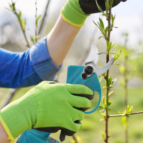 （物流随机发，自提可发加拿大）-4 合 1 树杆修枝剪，用于修剪树木的电动修枝剪和树杆锯，带 7 个可调节的头部角度，充电式树杆剪和电池树杆锯，带 2 块 3000mAh 可充电电池-2