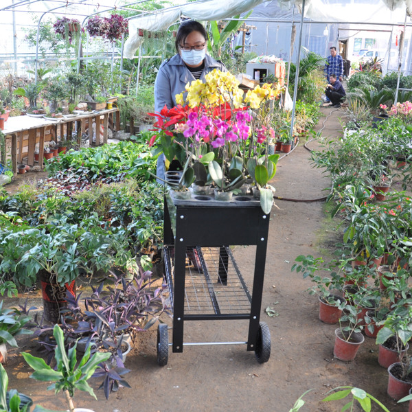 带腿移动金属高架花园床推车，升高式高花箱带轮，适用于室内外庭院后院蔬菜番茄DIY香草种植黑色-12