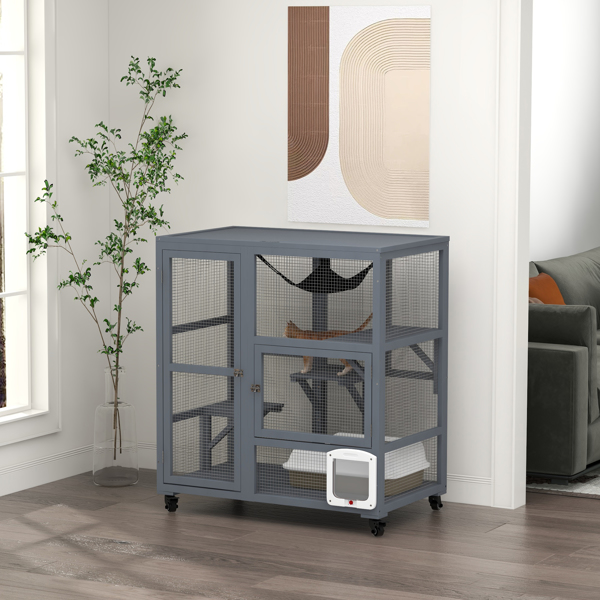 猫屋 （周末不发货）（ Amazon Shipping）（WalMart禁售）-1