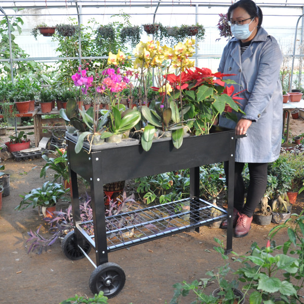 带腿移动金属高架花园床推车，升高式高花箱带轮，适用于室内外庭院后院蔬菜番茄DIY香草种植黑色-7