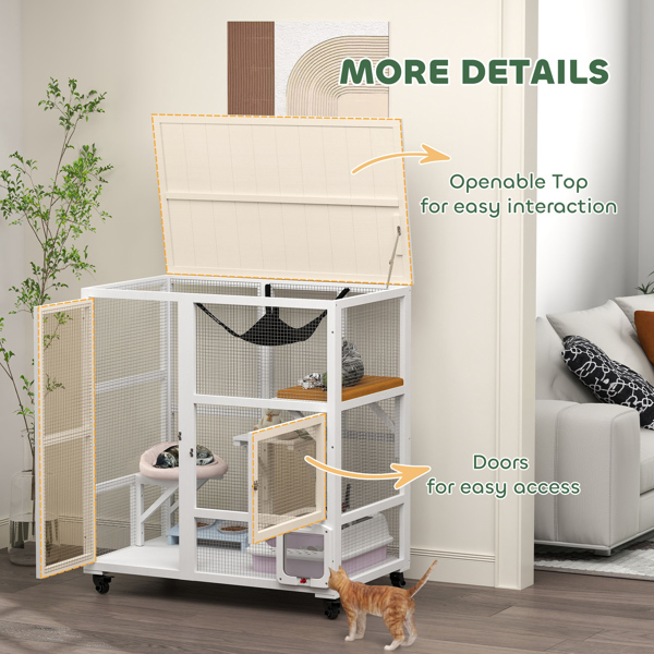 猫屋 （周末不发货）（ Amazon Shipping）（WalMart禁售）-6