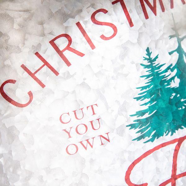 圣诞树项圈 （周末不发货）（ Amazon Shipping）（WalMart禁售）-7