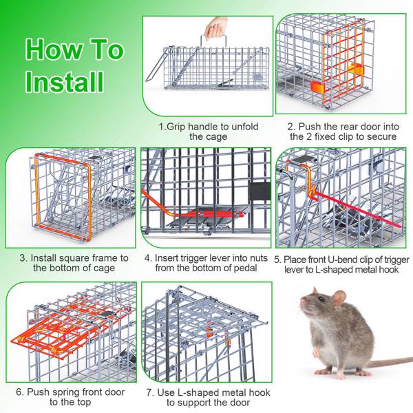 （自提可发加拿大，temu&tk下自提单）2 个装人性化捕鼠器 - 瞬时锁定单向门，2 毫米镀锌金属，对儿童和宠物安全，室内/室外可重复使用的捕鼠器，易于设置和释放-4