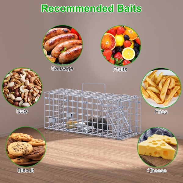 （自提可发加拿大，temu&tk下自提单）2 个装人性化捕鼠器 - 瞬时锁定单向门，2 毫米镀锌金属，对儿童和宠物安全，室内/室外可重复使用的捕鼠器，易于设置和释放-5