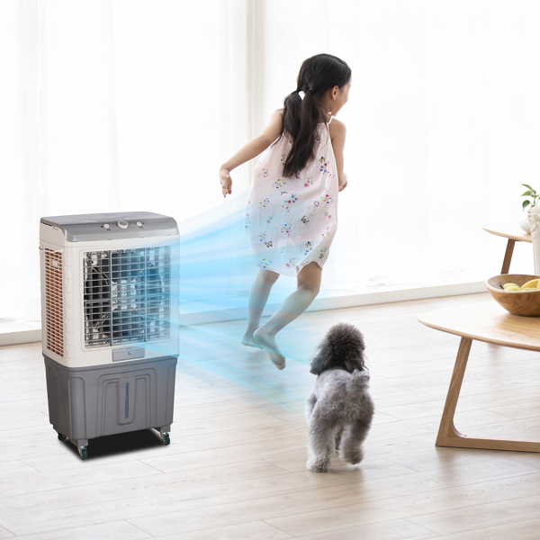美规 707L 电风扇 110V 200W 60L 带机械旋钮 带4块冰晶 带脚轮 冷气扇 PP+ABS塑料 全铜电机 灰白色 （风扇，降温、加湿）3合1-3