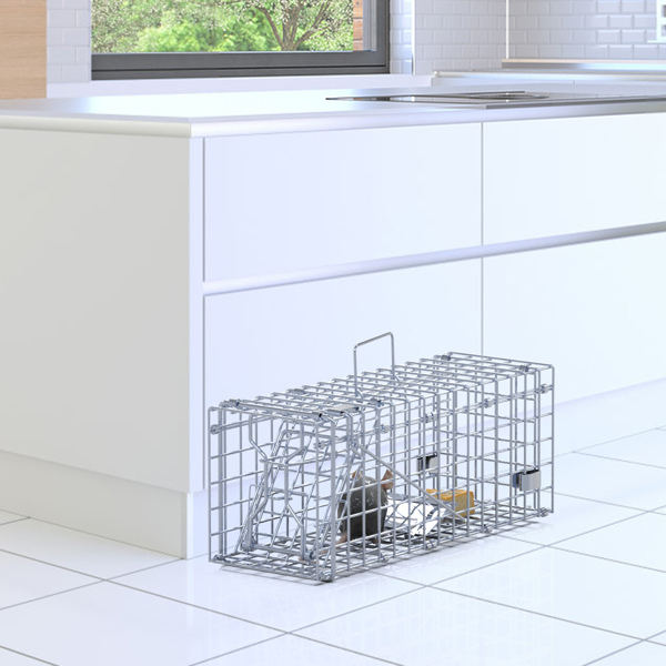 （自提可发加拿大，temu&tk下自提单）2 个装人性化捕鼠器 - 瞬时锁定单向门，2 毫米镀锌金属，对儿童和宠物安全，室内/室外可重复使用的捕鼠器，易于设置和释放-10