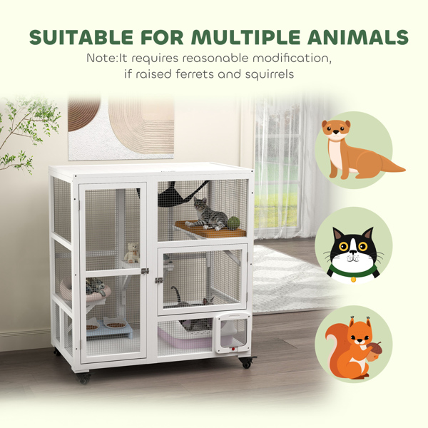 猫屋 （周末不发货）（ Amazon Shipping）（WalMart禁售）-7