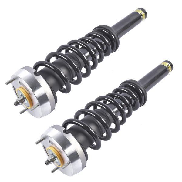 减震器 Pair Front Complete Strut & Coil Spring Assembly Replacement for BMW X5 2007-2013, X6 2008-2014 1335906-1