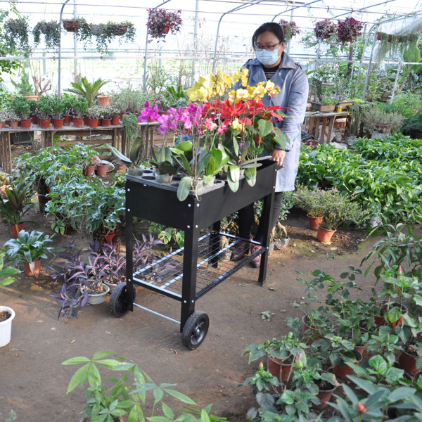 带腿移动金属高架花园床推车，升高式高花箱带轮，适用于室内外庭院后院蔬菜番茄DIY香草种植黑色-11