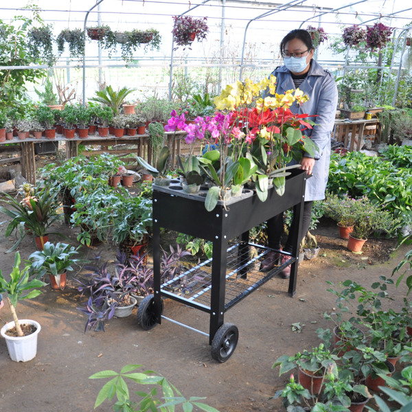 带腿移动金属高架花园床推车，升高式高花箱带轮，适用于室内外庭院后院蔬菜番茄DIY香草种植黑色-8