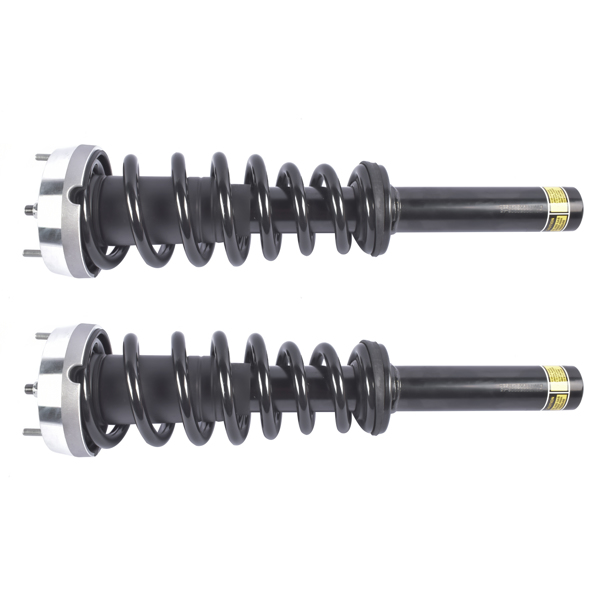 减震器 Pair Front Complete Strut & Coil Spring Assembly Replacement for BMW X5 2007-2013, X6 2008-2014 1335906-5