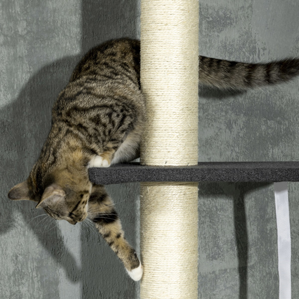 猫树/猫架（周末不发货）（ Amazon Shipping）（WalMart禁售）-7