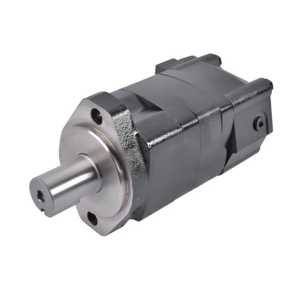 液压马达 Hydraulic Motor Replacement for Ammbusher Shredder Skid Steer BC601 300160A0120AJAAD-4