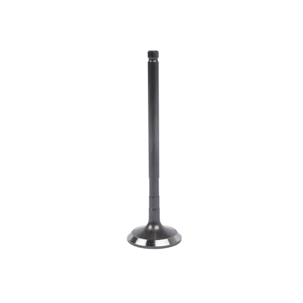气门套装 Intake & Exhaust Valve Kit Replacement for Toyota 4Runner T100 Tacoma 2.7L l4 DOHC 3RZFE 13711-75060-9