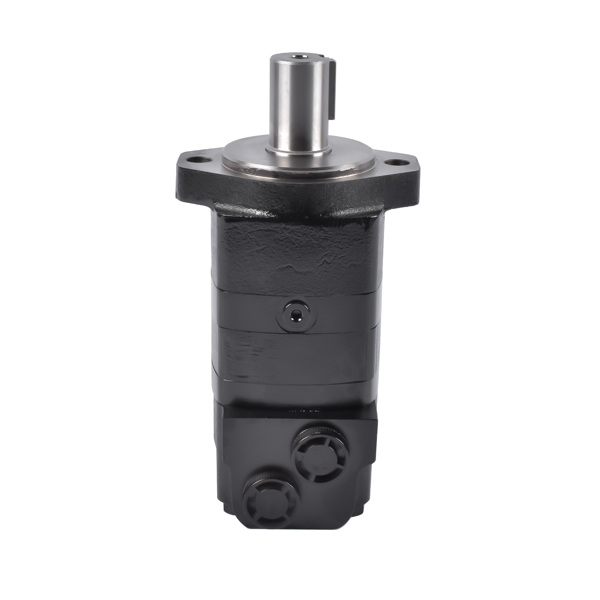 液压马达 Hydraulic Motor Replacement for Ammbusher Shredder Skid Steer BC601 300160A0120AJAAD-1