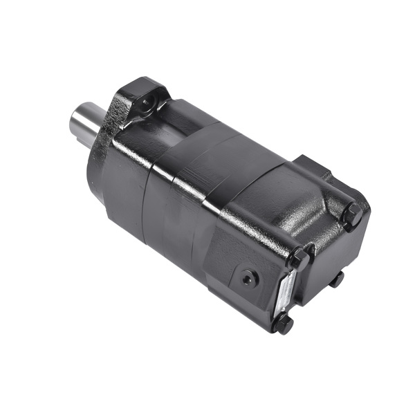 液压马达 Hydraulic Motor Replacement for Ammbusher Shredder Skid Steer BC601 300160A0120AJAAD-6