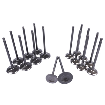 气门套装 Intake & Exhaust Valve Kit Replacement for Toyota 4Runner T100 Tacoma 2.7L l4 DOHC 3RZFE 13711-75060
