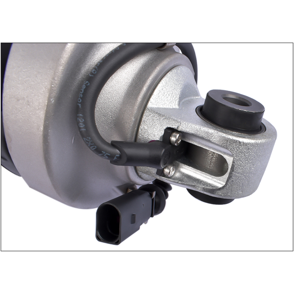 电磁减震器 Air Shock Absorber Shock Front Replacement for Audi R8 D 2007-2015 420412019AG 420412020Q 420412020AJ-6
