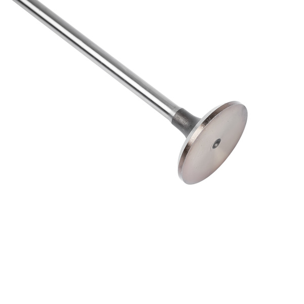 气门套装 Intake & Exhaust Valves Replacement for Jeep Grand Cherokee Ram 1500 3.0L V6 EcoDiesel 2014-2018 68147269AA 68147265AA-10