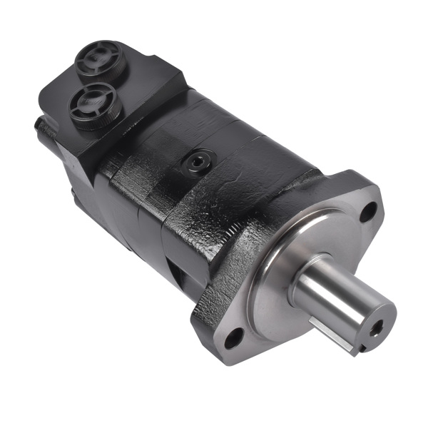液压马达 Hydraulic Motor Replacement for Ammbusher Shredder Skid Steer BC601 300160A0120AJAAD-5