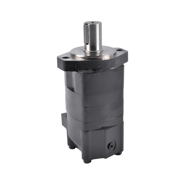 液压马达 Hydraulic Motor Replacement for Ammbusher Shredder Skid Steer BC601 300160A0120AJAAD-2