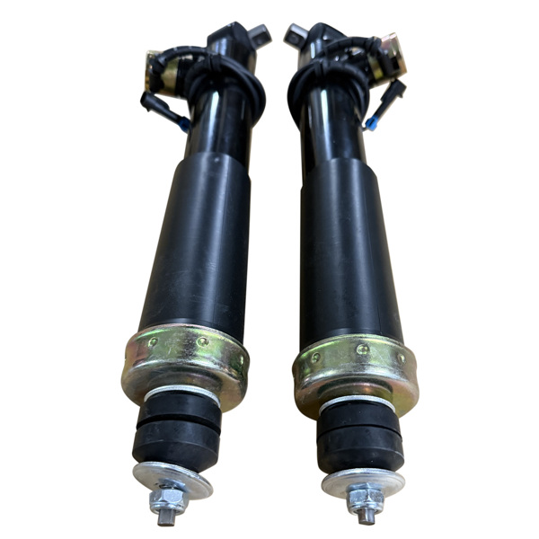 减震器 Pair Front Shock Absorbers Struts w/Adaptive Fit for Chevrolet Corvette C5 1997-2002 22064825-5