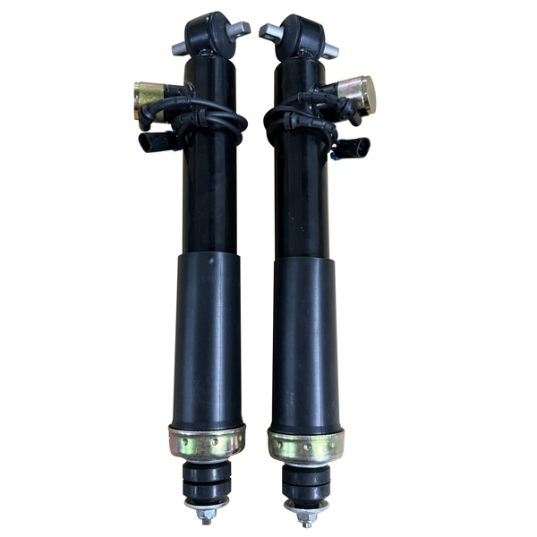 减震器 Pair Front Shock Absorbers Struts w/Adaptive Fit for Chevrolet Corvette C5 1997-2002 22064825-1