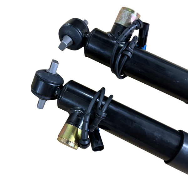 减震器 Pair Front Shock Absorbers Struts w/Adaptive Fit for Chevrolet Corvette C5 1997-2002 22064825-6