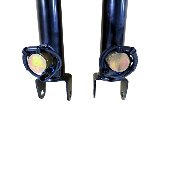 减震器 2Pcs Rear Shock Absorbers Struts w/Adaptive Fit for Chevrolet Corvette C5 5.7L 97-02 22064827-6