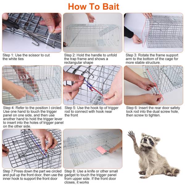 （物流随机发，自提可发加拿大）-人道动物捕兽笼（尺寸：30.51x11.02x11.81英寸）- 镀锌坚固金属网，灵敏触发装置及双门设计，带手柄防护板，可折叠结构，适用于16.5磅以下浣熊、负鼠、臭鼬等动物，室内外通用-4