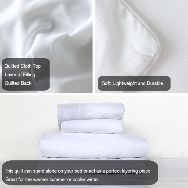 全涤磨毛床品三件套AB版  FS1563芭芙丽-蓝   美国加大号（被套264cmx228cm枕套90cmx51cm）（temu仅可自提）-7