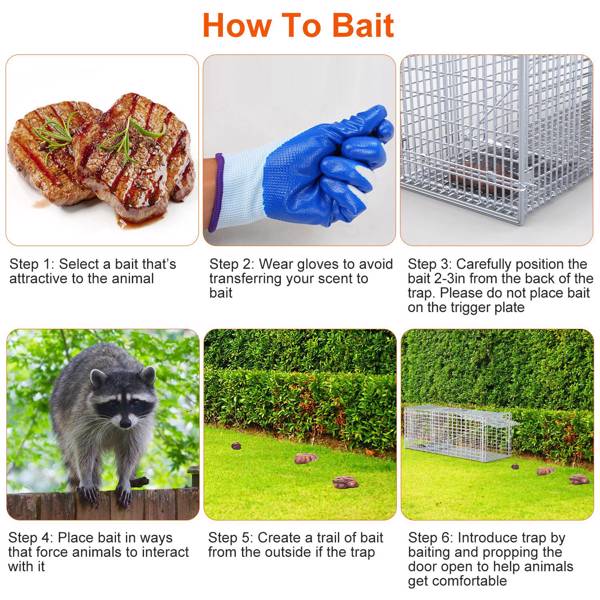 （物流随机发，自提可发加拿大）-重型活体动物捕兽笼 - 37x14x15英寸镀锌网格，灵敏踏板触发装置及后置释放门，防护把手，折叠式设计，适用于浣熊、犰狳及55磅以下小型犬-5