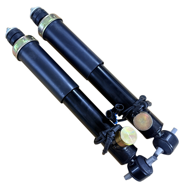 减震器 Pair Front Shock Absorbers Struts w/Adaptive Fit for Chevrolet Corvette C5 1997-2002 22064825-4