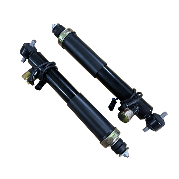 减震器 Pair Front Shock Absorbers Struts w/Adaptive Fit for Chevrolet Corvette C5 1997-2002 22064825-3