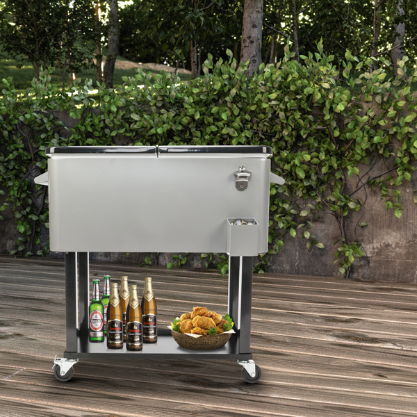 冷冻推车-铁喷塑款-39