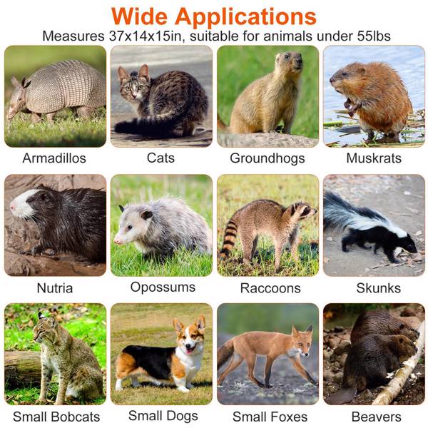 （物流随机发，自提可发加拿大）-重型活体动物捕兽笼 - 37x14x15英寸镀锌网格，灵敏踏板触发装置及后置释放门，防护把手，折叠式设计，适用于浣熊、犰狳及55磅以下小型犬-8