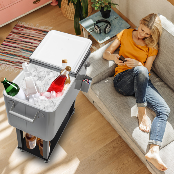 冷冻推车-铁喷塑款-40