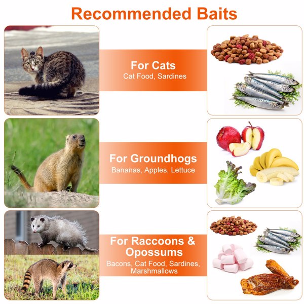 （物流随机发，自提可发加拿大）-重型活体动物捕兽笼 - 37x14x15英寸镀锌网格，灵敏踏板触发装置及后置释放门，防护把手，折叠式设计，适用于浣熊、犰狳及55磅以下小型犬-3