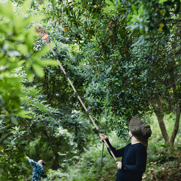 13FT 红色 摘果器 拼接  不锈钢 杆式工具-11