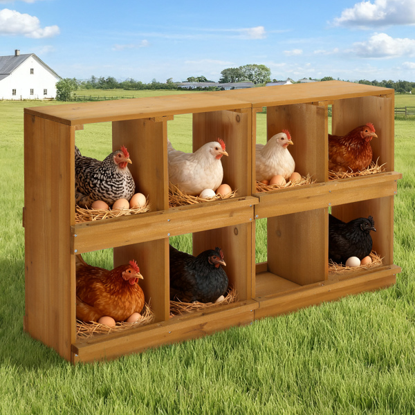 50*27*14.5inch 8隔间 普黄 平顶双层 杉木 喂食用品-4